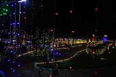 IMG_8881